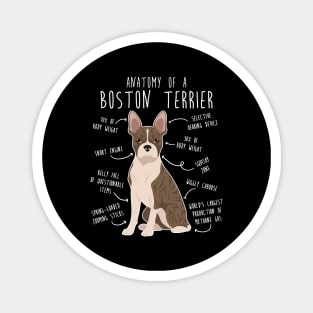 Brindle Boston Terrier Dog Anatomy Magnet